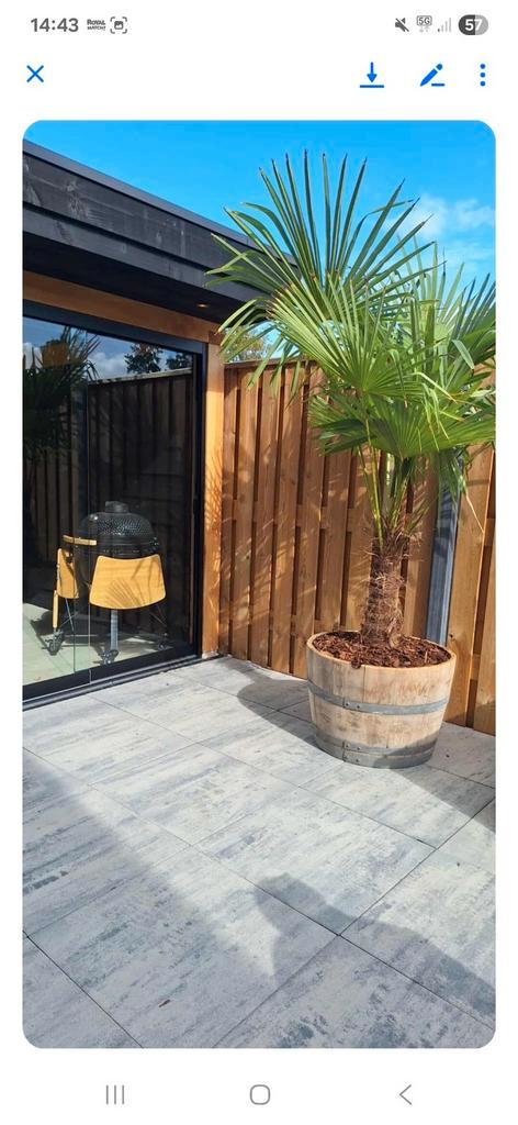 NIEUWE TUIN!!!bloembakken kunnen het hele jaar buitenstaan, Tuin en Terras, Bloembakken en Plantenbakken, Nieuw, Hout, Balkon