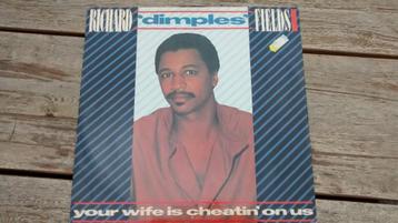 Maxi single - Richard Fields - Your wife is cheat beschikbaar voor biedingen