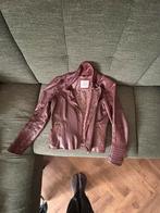 Leren jas van EDC by Esprit maat S, Kleding | Dames, Jassen | Zomer, Ophalen of Verzenden, Gedragen, Maat 36 (S), Zwart