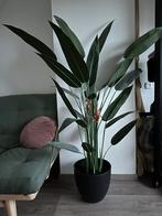 Strelitzia kunstplant 160cm, Ophalen, Zo goed als nieuw