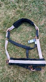 Rose gold halsters met onderlegd bond in de maat full, Dieren en Toebehoren, Ophalen of Verzenden, Nieuw, Overige soorten