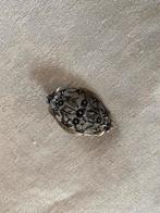 Zilveren broche, Sieraden, Tassen en Uiterlijk, Minder dan 4 cm, Ophalen of Verzenden, Zo goed als nieuw, Zilver