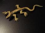 KOPEREN SALAMANDER, Antiek en Kunst, Antiek | Koper en Brons, Ophalen of Verzenden, Koper