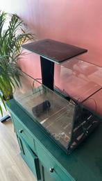 Aquarium Superfish quadro 70 Pro, Dieren en Toebehoren, Ophalen, Zo goed als nieuw, Leeg aquarium