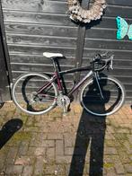 Racefiets Giant Avail, Ophalen, 47 tot 50 cm, Giant, Zo goed als nieuw