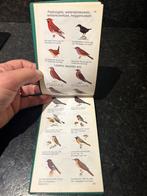 Vestzak Vogelgids Reader's Digest - Natuurgids, Boeken, Ophalen of Verzenden, Gelezen, Vogels