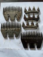 Schapen scheermessen voor econoom Aesculaep, Dieren en Toebehoren, Schapen, Geiten en Varkens, Schaap