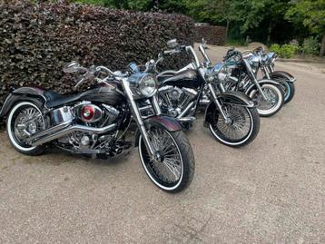 Harley davidson softail specials beschikbaar voor biedingen
