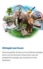 Postcodeloterij uitstapje naar keuze 8 tickets beschikbaar, Drie personen of meer, Ticket of Toegangskaart