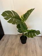 Fejka kunstplant ikea, Ophalen, Halfschaduw, Minder dan 100 cm