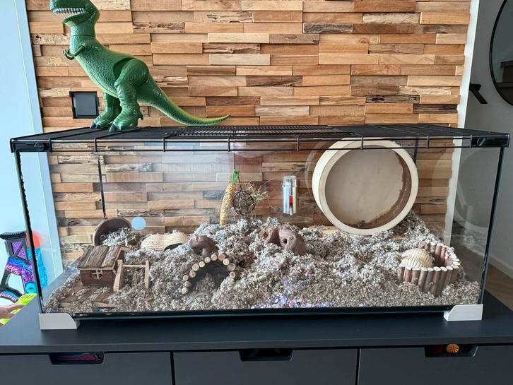 2 gerbils met grote kooi en toebehoren, Dieren en Toebehoren, Knaagdieren en Konijnen | Hokken en Kooien, Zo goed als nieuw, Hok