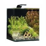 Dennerle Nano cube 20 liter (complete set), Ophalen, Zo goed als nieuw, Leeg aquarium