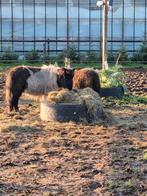 Gratis af te halen 3 vrachtwagen banden., Dieren en Toebehoren