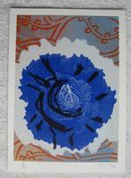 kleine zeefdruk Luuk de Weert (beperkte genummerde oplage), Antiek en Kunst, Kunst | Litho's en Zeefdrukken, Ophalen of Verzenden
