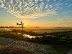 Originele foto van een prachtig Abtswoudse Bos vlakbij Delft, Verzenden