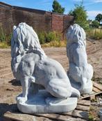 Set grote betonnen leeuwen, Tuin en Terras, Tuinbeelden, Ophalen, Nieuw, Beton, Dierenbeeld