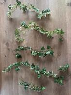 Kunst Klimop voor Decoratie, Ophalen, Nieuw, Binnen