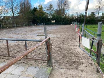 shetlander en paardenstallen te huur en concourswagen te koo