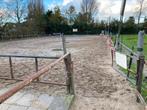 shetlander en paardenstallen te huur en stalkruiwagens te ko, Dieren en Toebehoren, Stalling en Weidegang, Weidegang, 4 paarden of pony's of meer