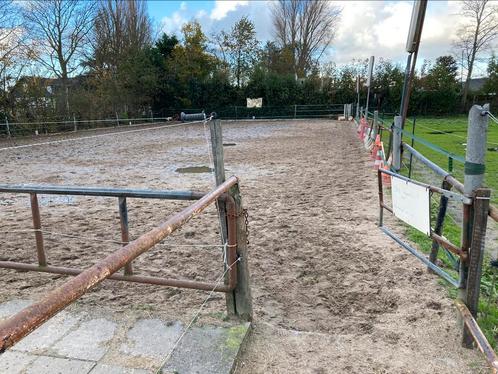 shetlander en paardenstallen te huur en stalkruiwagens te ko, Dieren en Toebehoren, Stalling en Weidegang, Opfok, Stalling, Weidegang