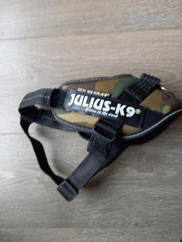 Tuigje van Julius beschikbaar voor biedingen