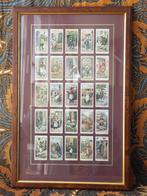 25 mooie oude Engelse sigarettenplaatjes ingelijst 50 cm., Ophalen of Verzenden