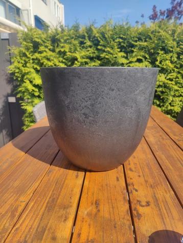Plantenpot binnen  beschikbaar voor biedingen