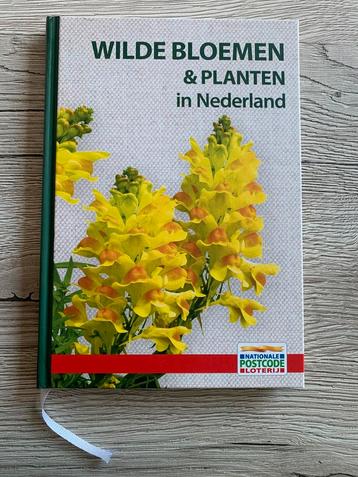 Wilde bloemen & planten in Nederland beschikbaar voor biedingen