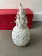 Pols Potten Ananas, Ophalen, Nieuw