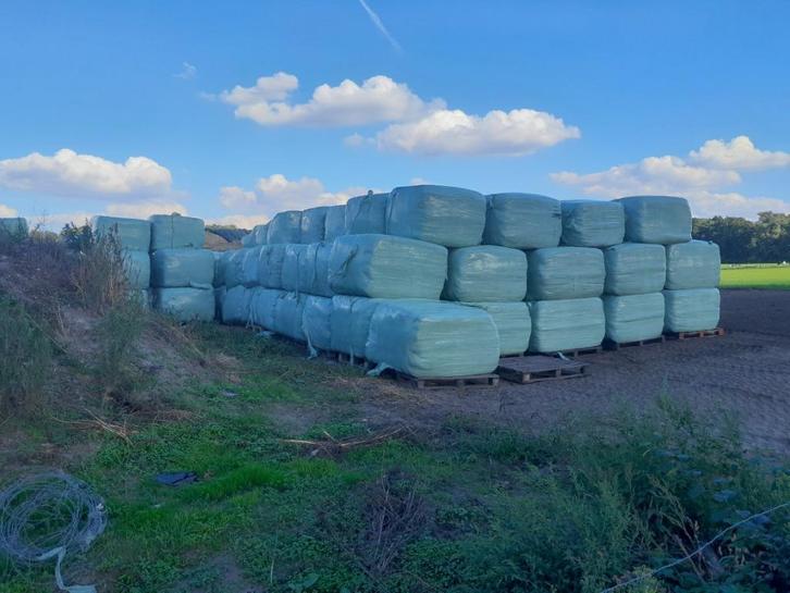 gras pakken, Hobby en Vrije tijd, Overige Hobby en Vrije tijd, Nieuw, Ophalen