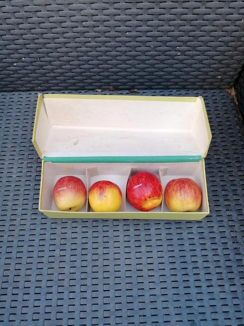 Leermiddel wax fruit, oud!, Antiek en Kunst, Curiosa en Brocante, Ophalen of Verzenden