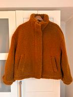 Sissy Boy damesjas, winterjas, teddy, als nieuw!, Ophalen of Verzenden, Zo goed als nieuw, Maat 36 (S), Bruin