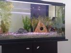 Aquarium incl vissen, Ophalen, Zo goed als nieuw, Gevuld zoetwateraquarium