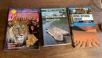 3 reisgidsen Botswana, Zimbabwe, Namibië, Ophalen of Verzenden, Zo goed als nieuw, Lonely Planet