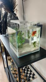 Aqarium, Dieren en Toebehoren, Vissen | Aquaria en Toebehoren, Ophalen, Zo goed als nieuw, Leeg aquarium