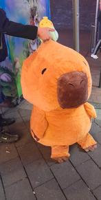 Grote xxl capibara (alleen af te halen, Ophalen, Zo goed als nieuw, Overige typen