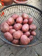 Prima consumptie aardappels Mozart, Ophalen