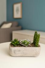 Decoratie Kunstmatige Plant, Ophalen, Nieuw, Rond, Minder dan 60 cm