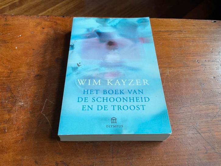 W. Kayzer - Het boek van de schoonheid en de troost, Boeken, Filosofie, Ophalen of Verzenden