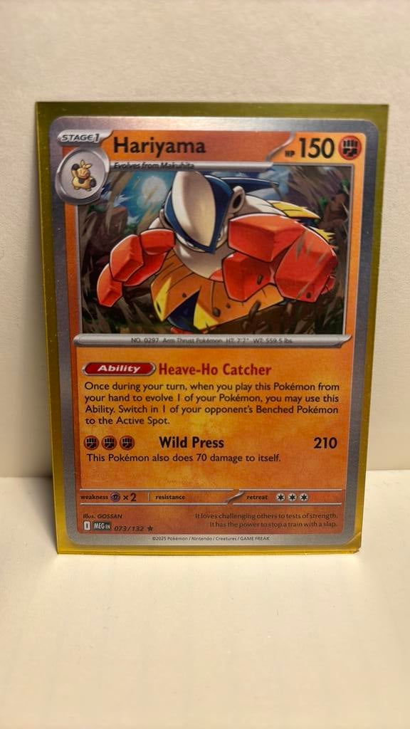 Carte Pokemon Litten 032/162 Reverse Holo Pokemon Card - Temporal Forces  Set, Near Mint Condition