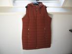 Nw lange JOHN BANER Bodywarmer m 50 m leuke details €50.00, Ophalen of Verzenden, Nieuw, Zwart, Jas of Mantel