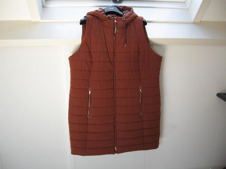Nw lange JOHN BANER Bodywarmer m 50 m leuke details €50.00, Kleding | Dames, Grote Maten, Nieuw, Jas of Mantel, Zwart, Ophalen of Verzenden