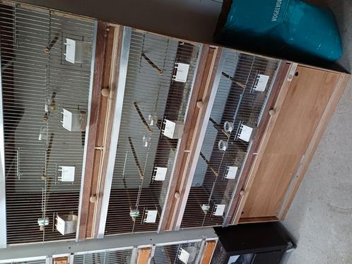 Kweekkooi vogels, Dieren en Toebehoren, Vogels | Hokken en Kooien, Broedkooi of Kweekkooi, Hout, Ophalen of Verzenden
