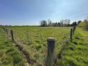 Weidegang/grasland aangeboden in Bergen Limburg +/- 5500m² beschikbaar voor biedingen