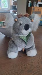 Australische Koala beer, Ophalen of Verzenden, Zo goed als nieuw, Beer