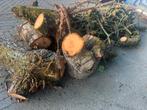 Kersen hout brandhout kachelhout 1,5 - 2 kuub, Minder dan 3 m³, Ophalen, Overige houtsoorten, Stammen
