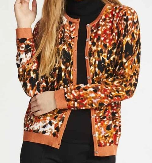 Mooi fijngebreid vest met prachtige print, Kleding | Dames, Grote Maten, Zo goed als nieuw, Overige kleuren, Ophalen of Verzenden