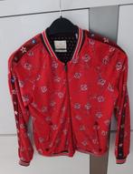 Bomber Zomer jasje, Meisje, Ophalen of Verzenden, Zo goed als nieuw, Scotch & Soda