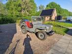 Zeer nette Jeep Willys 1946 , unieke historie, Jeep, 970 kg, 54 pk, Bruin