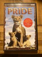 Pride dvd, Ophalen of Verzenden, Zo goed als nieuw, Avontuur, Film